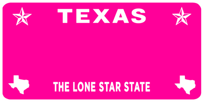 Texas Pink Metal Keychain